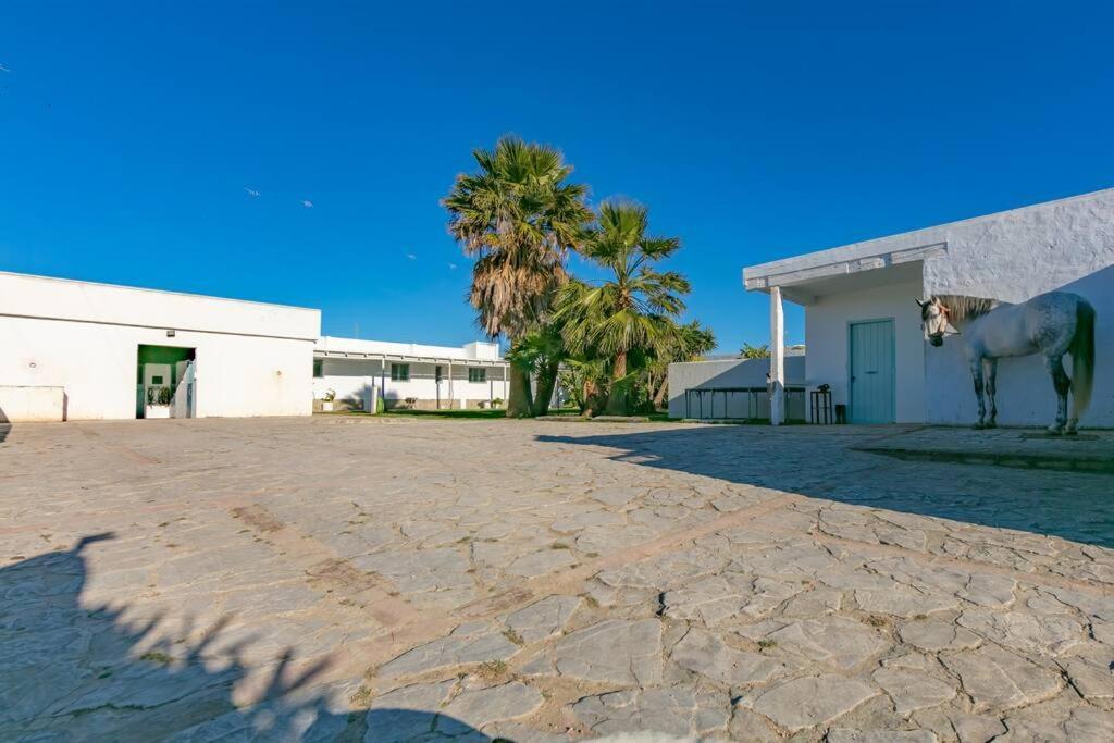 Habitaciones Rurales La Vega 塔里法 外观 照片