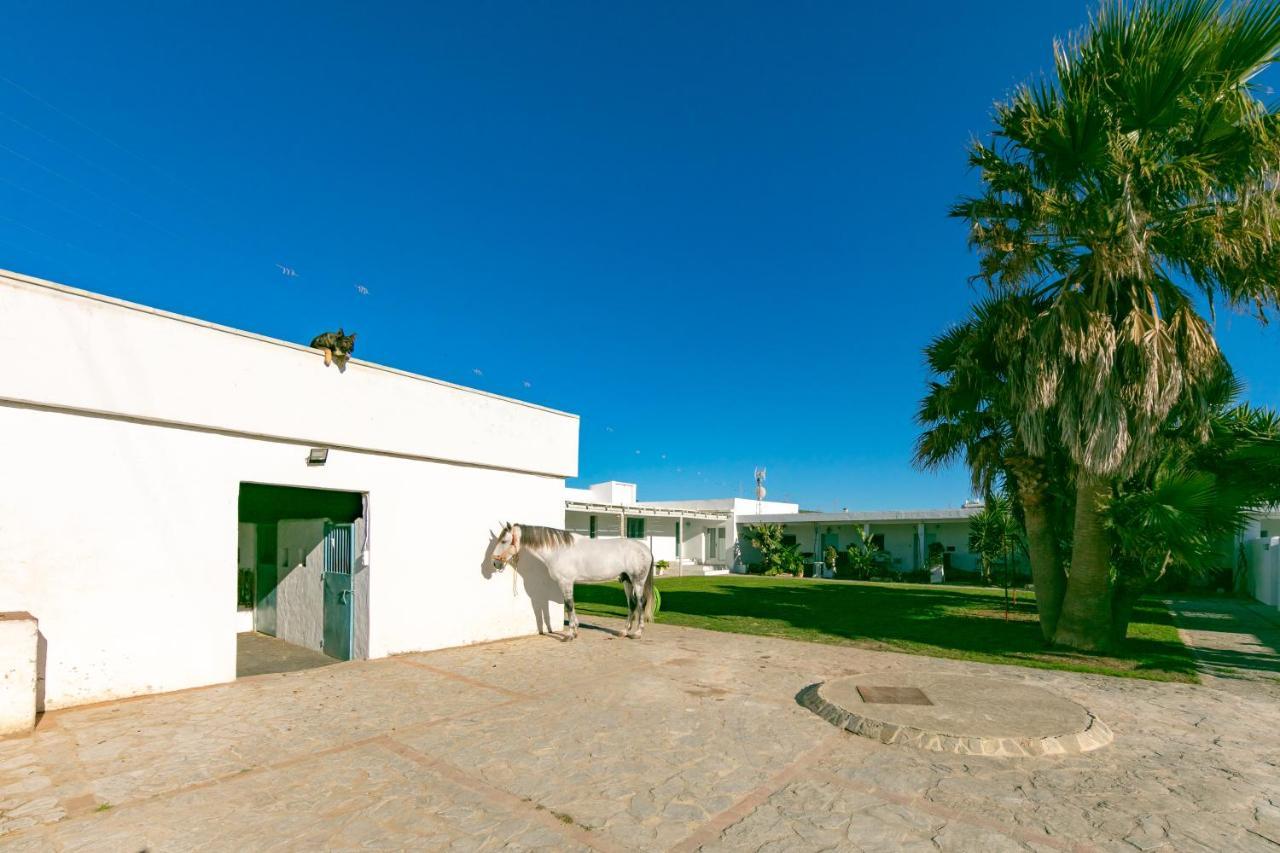 Habitaciones Rurales La Vega 塔里法 外观 照片